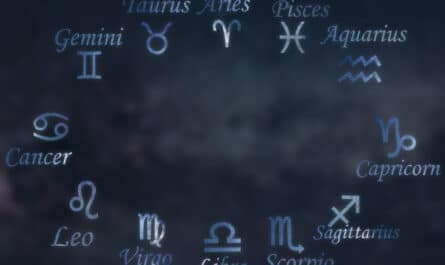 caractère signe astrologique capricorne