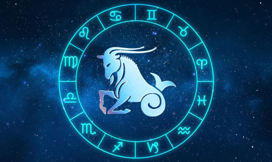 Quel est le caractère du signe astrologique Capricorne ?